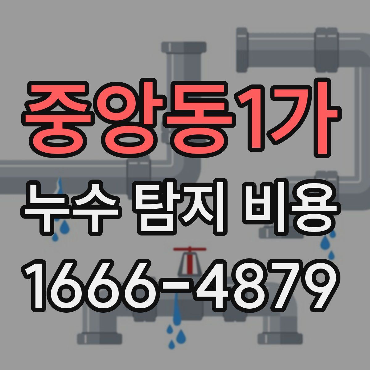 중앙동1가 누수 탐지 비용
