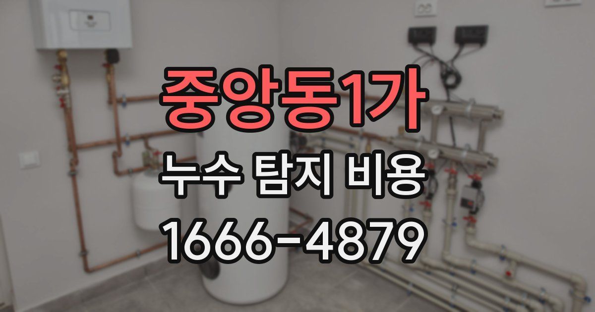 중앙동1가 누수 탐지 비용