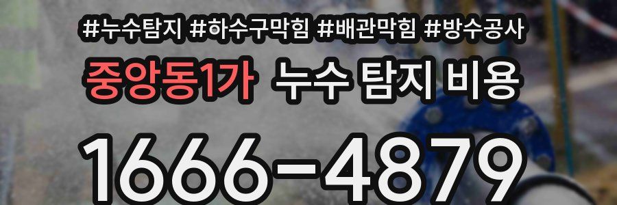 중앙동1가 누수 탐지 비용