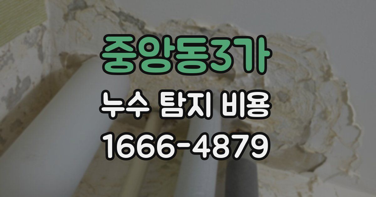 중앙동3가 누수 탐지 비용