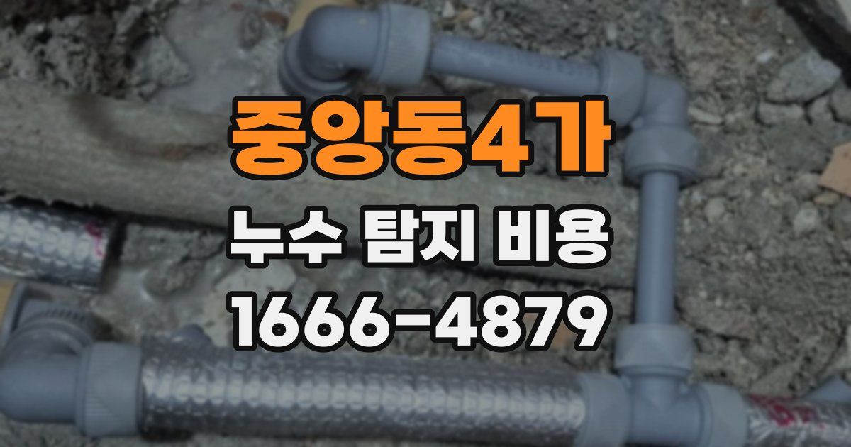 중앙동4가 누수 탐지 비용