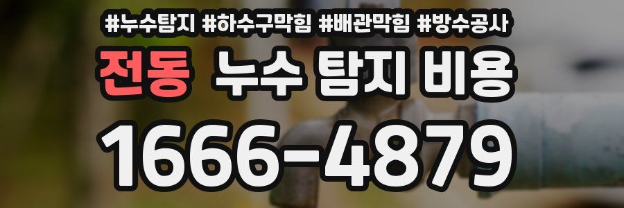 전동 누수 탐지 비용