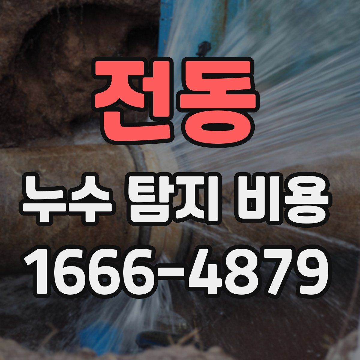 전동 누수 탐지 비용