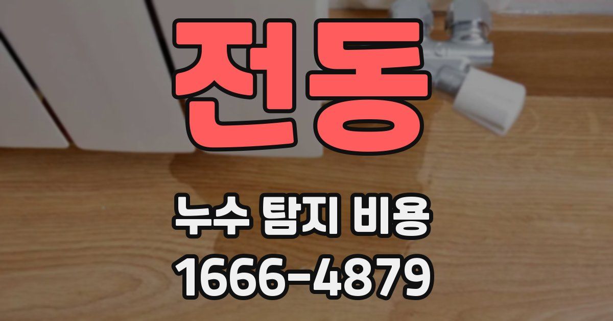 전동 누수 탐지 비용