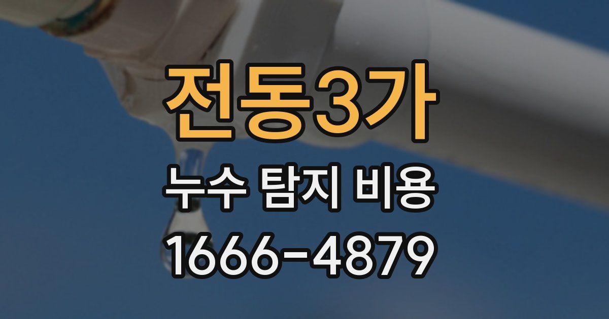 전동3가 누수 탐지 비용
