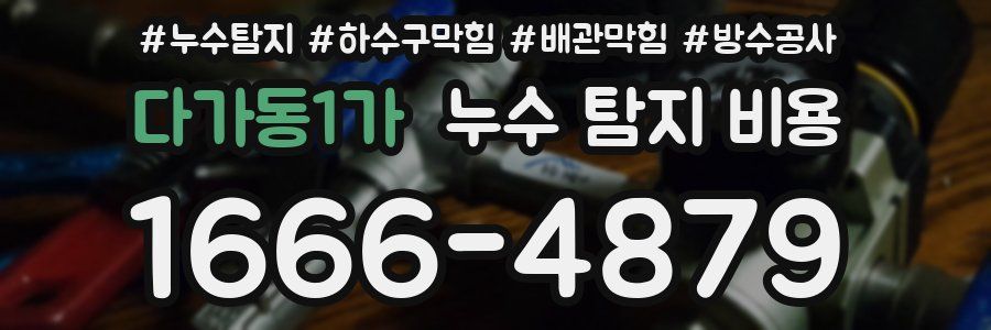 다가동1가 누수 탐지 비용