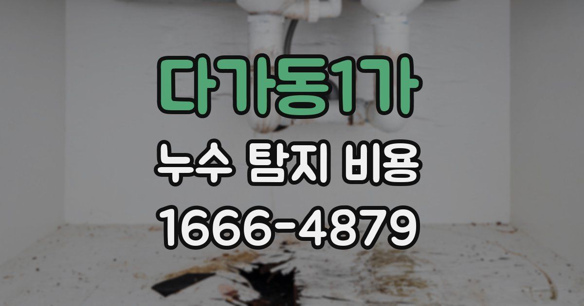 다가동1가 누수 탐지 비용