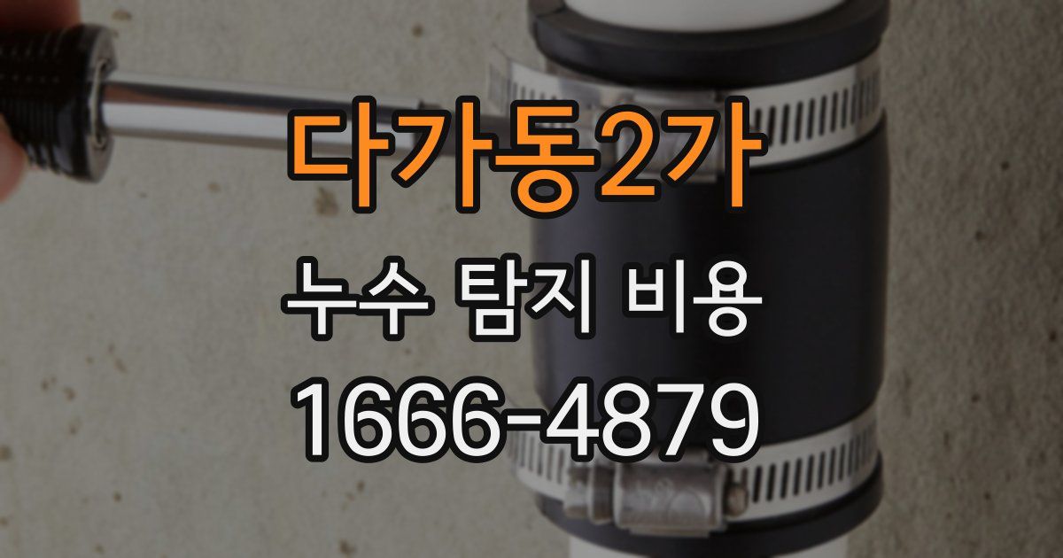 다가동2가 누수 탐지 비용