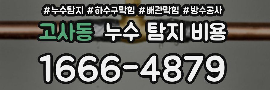 고사동 누수 탐지 비용