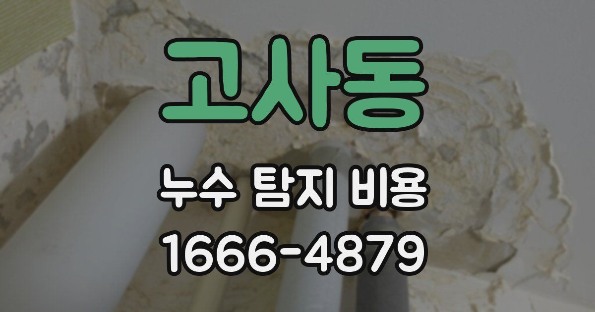 고사동 누수 탐지 비용