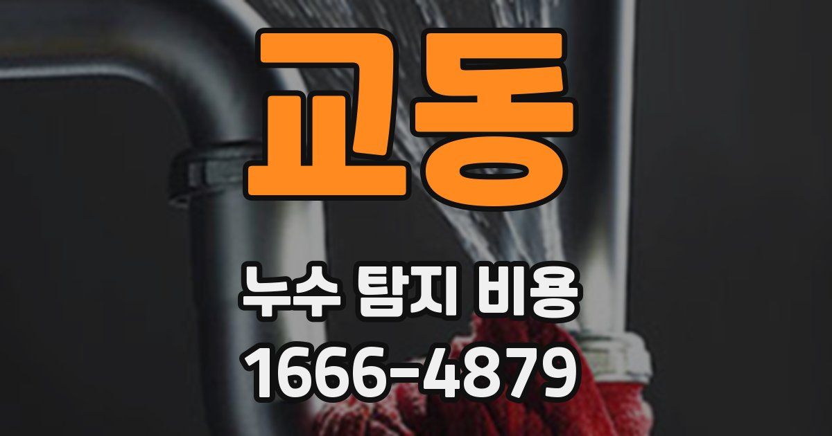 교동 누수 탐지 비용