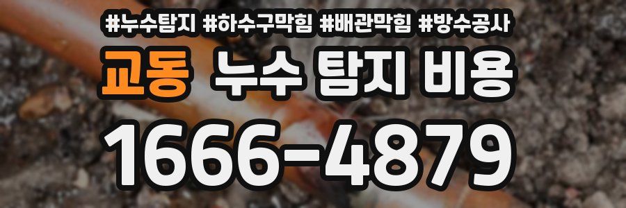 교동 누수 탐지 비용
