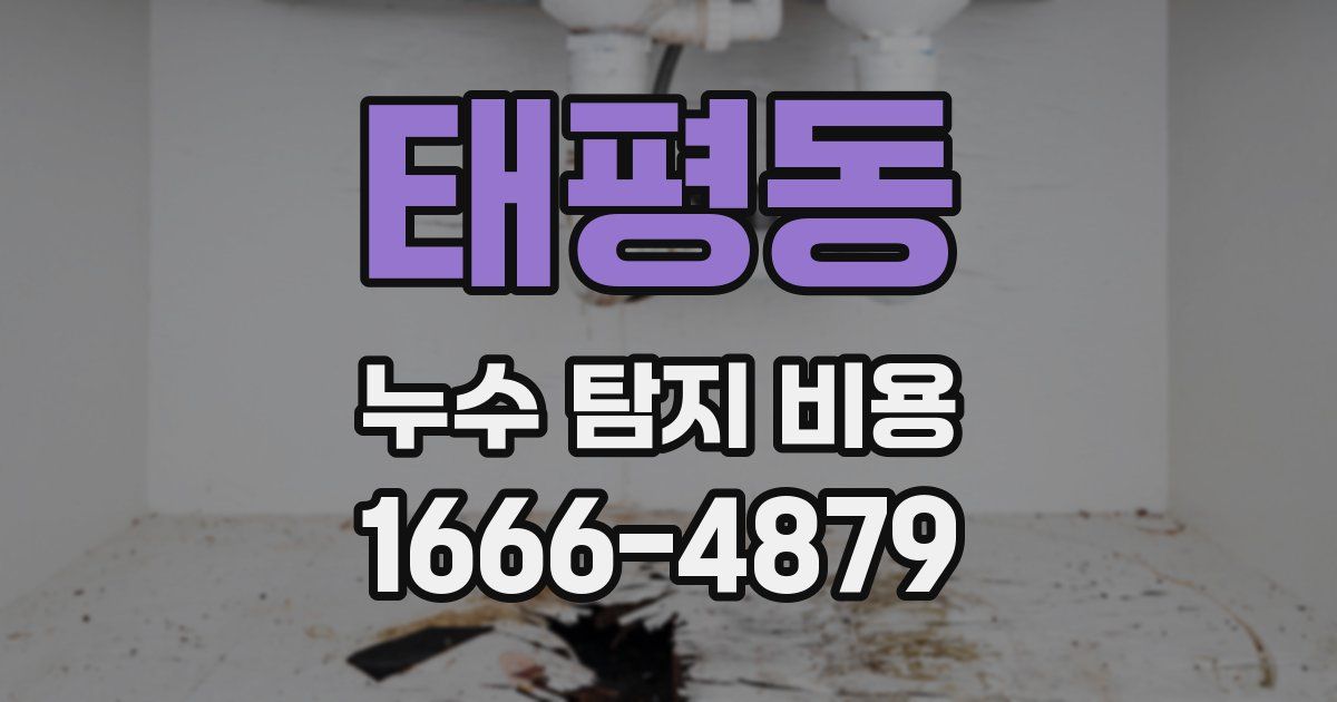 태평동 누수 탐지 비용
