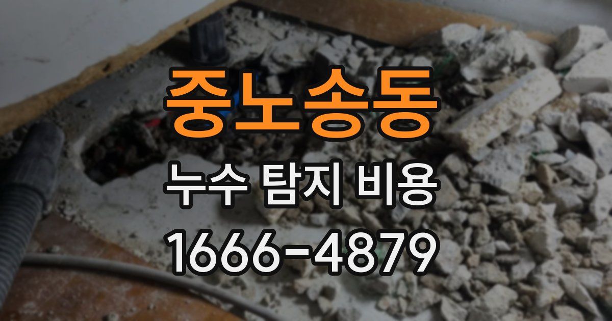 중노송동 누수 탐지 비용
