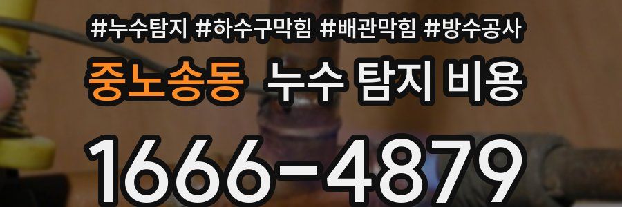 중노송동 누수 탐지 비용