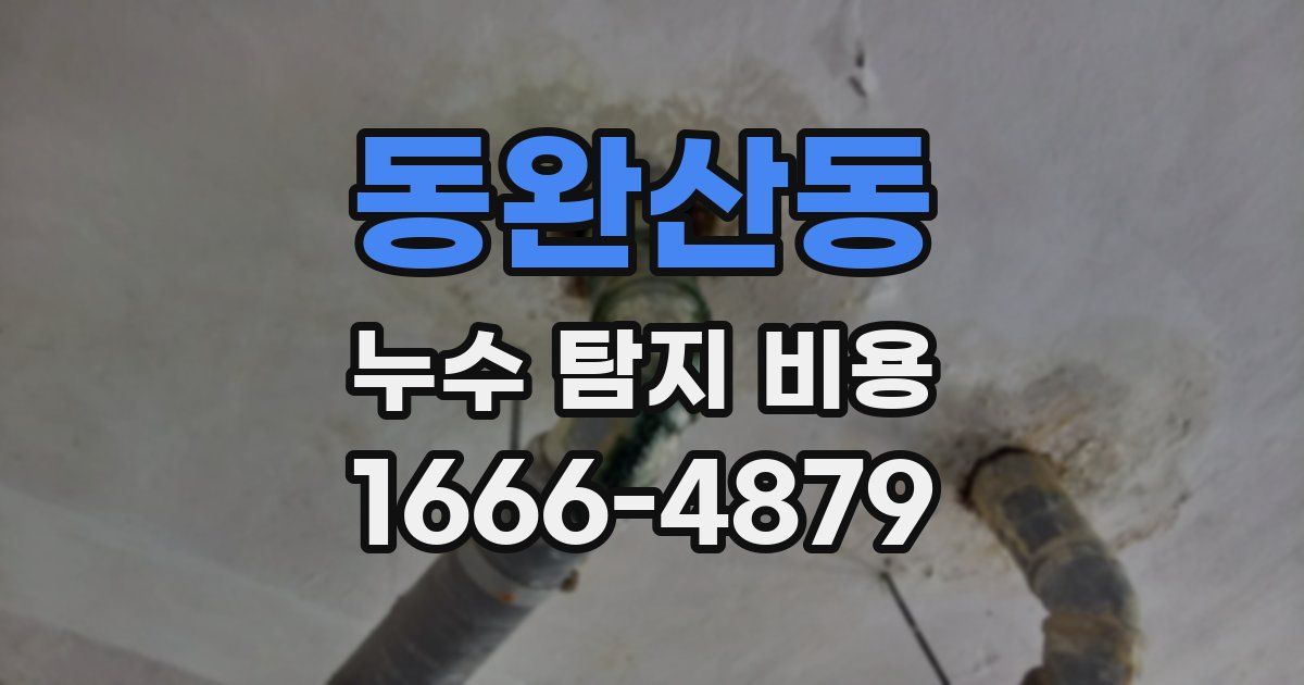 동완산동 누수 탐지 비용