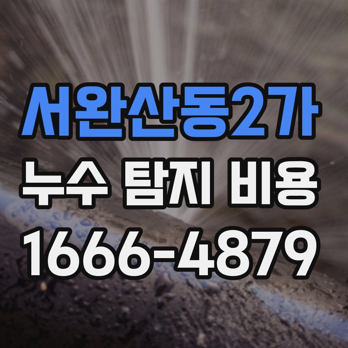 서완산동2가 누수 탐지 비용