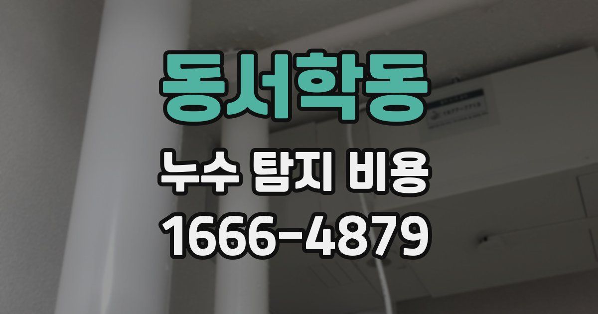 동서학동 누수 탐지 비용
