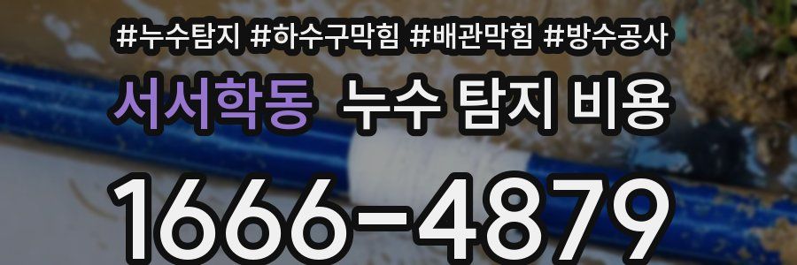 서서학동 누수 탐지 비용