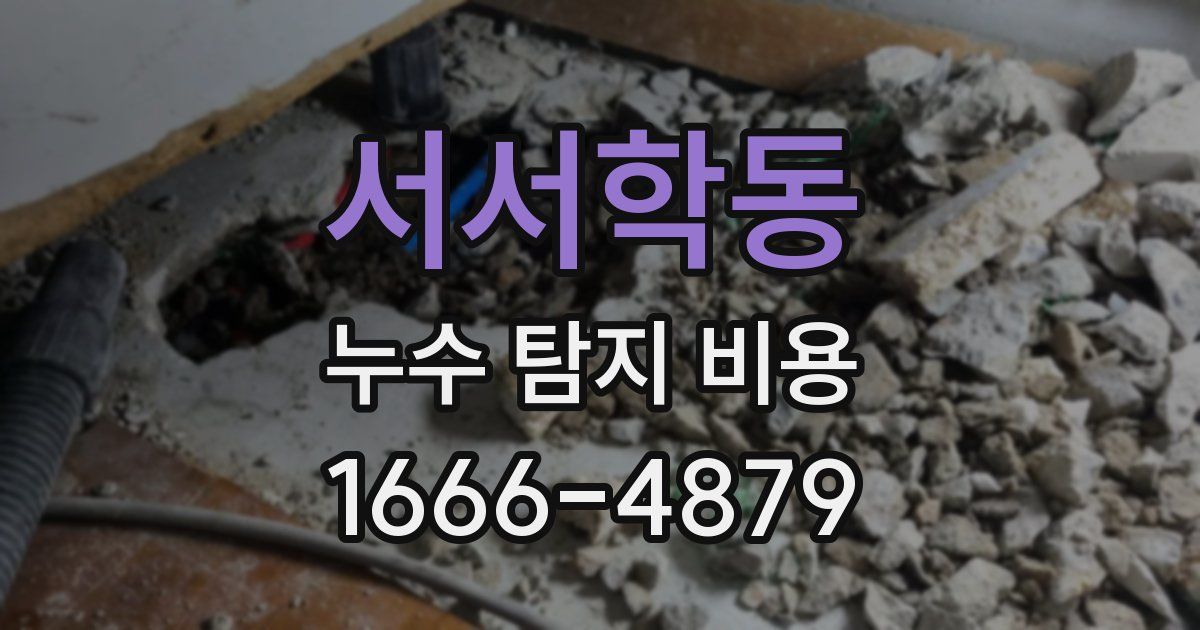 서서학동 누수 탐지 비용