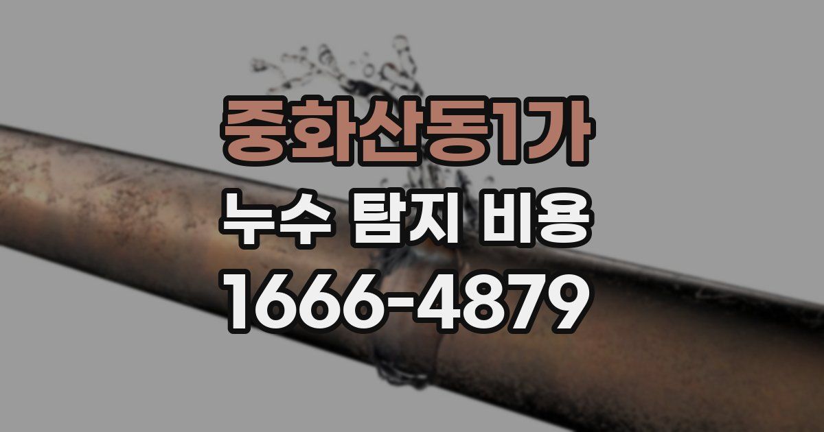 중화산동1가 누수 탐지 비용