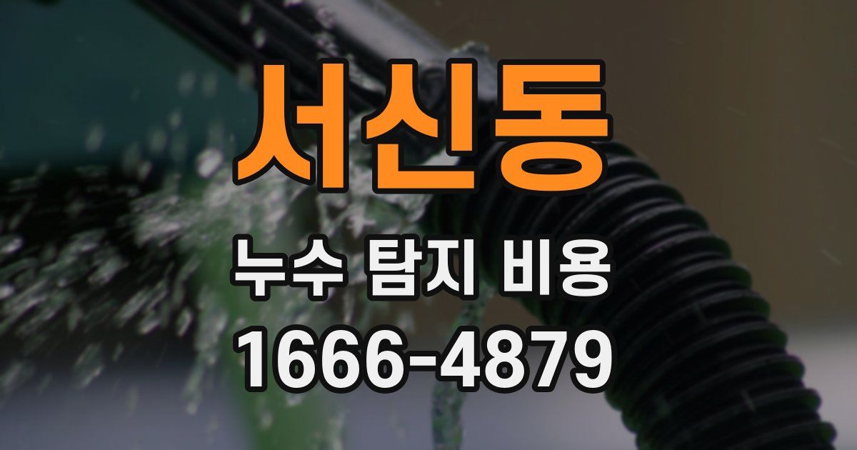 서신동 누수 탐지 비용