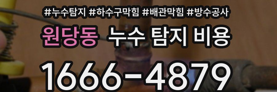 원당동 누수 탐지 비용