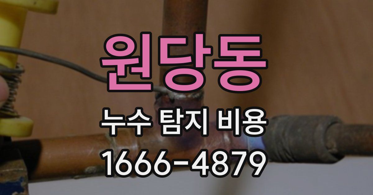 원당동 누수 탐지 비용