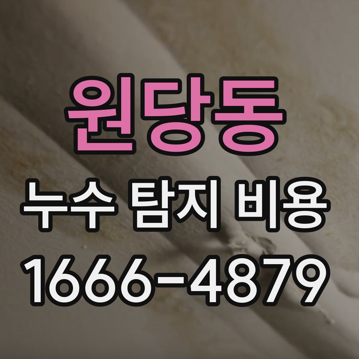원당동 누수 탐지 비용