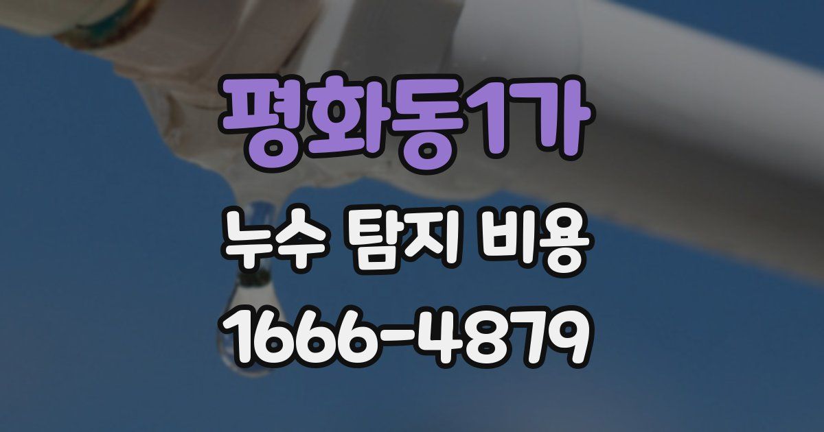 평화동1가 누수 탐지 비용