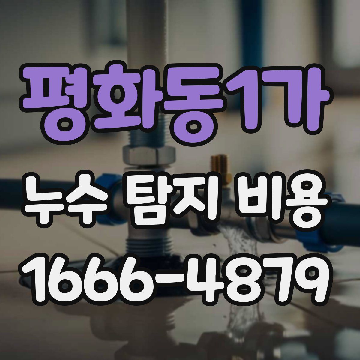 평화동1가 누수 탐지 비용