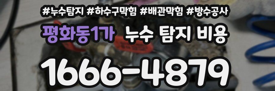 평화동1가 누수 탐지 비용
