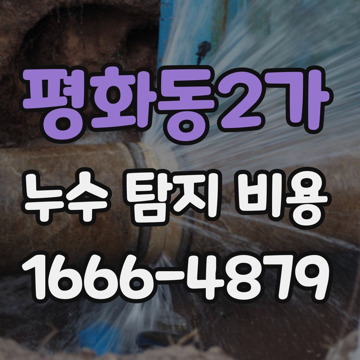 평화동2가 누수 탐지 비용
