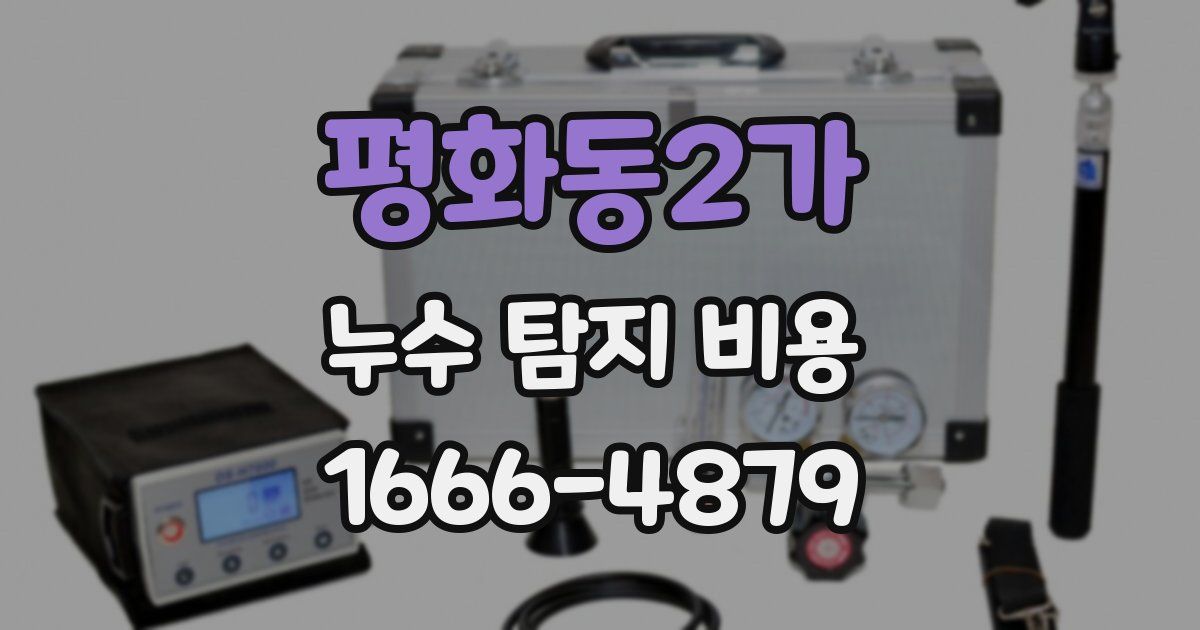 평화동2가 누수 탐지 비용