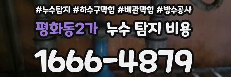 평화동2가 누수 탐지 비용
