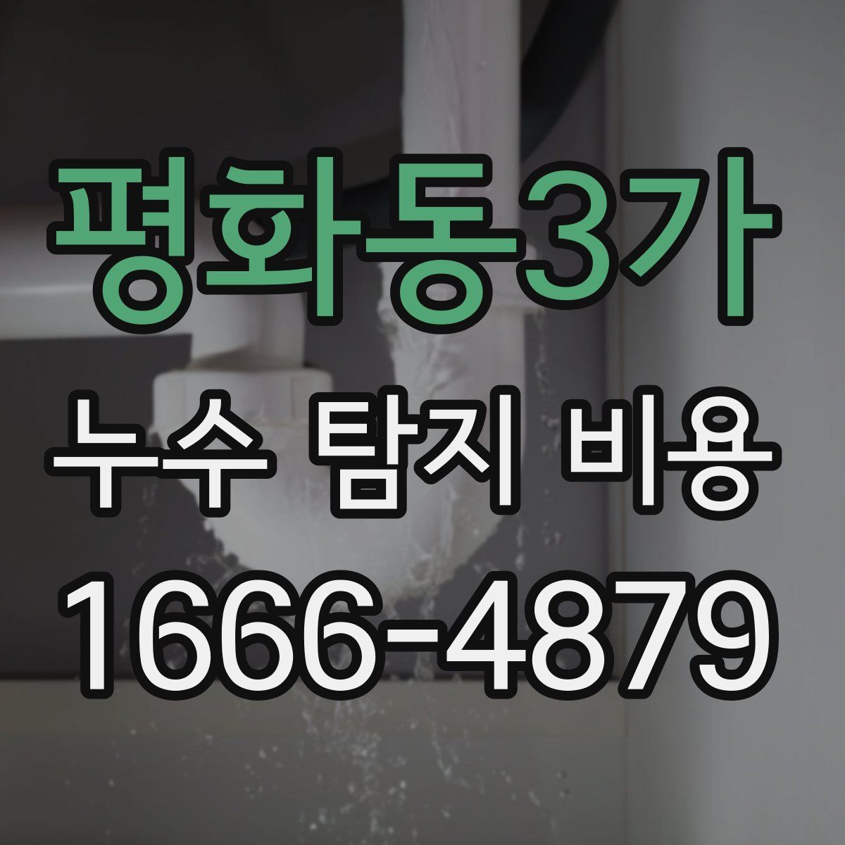 평화동3가 누수 탐지 비용