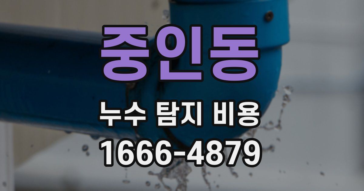 중인동 누수 탐지 비용
