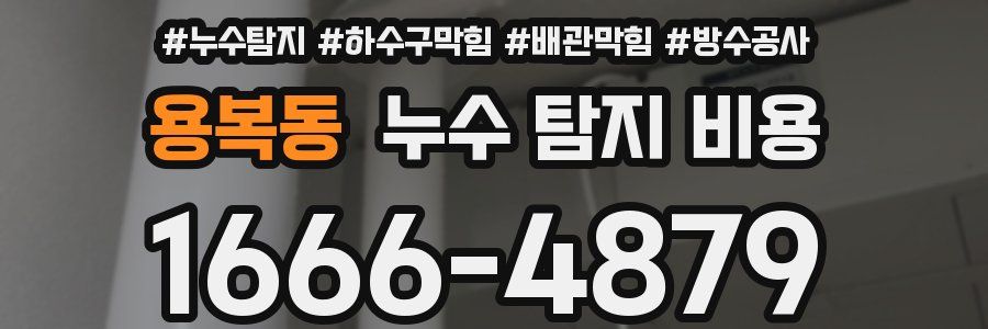 용복동 누수 탐지 비용