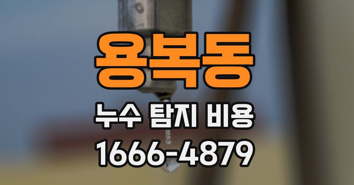 용복동 누수 탐지 비용