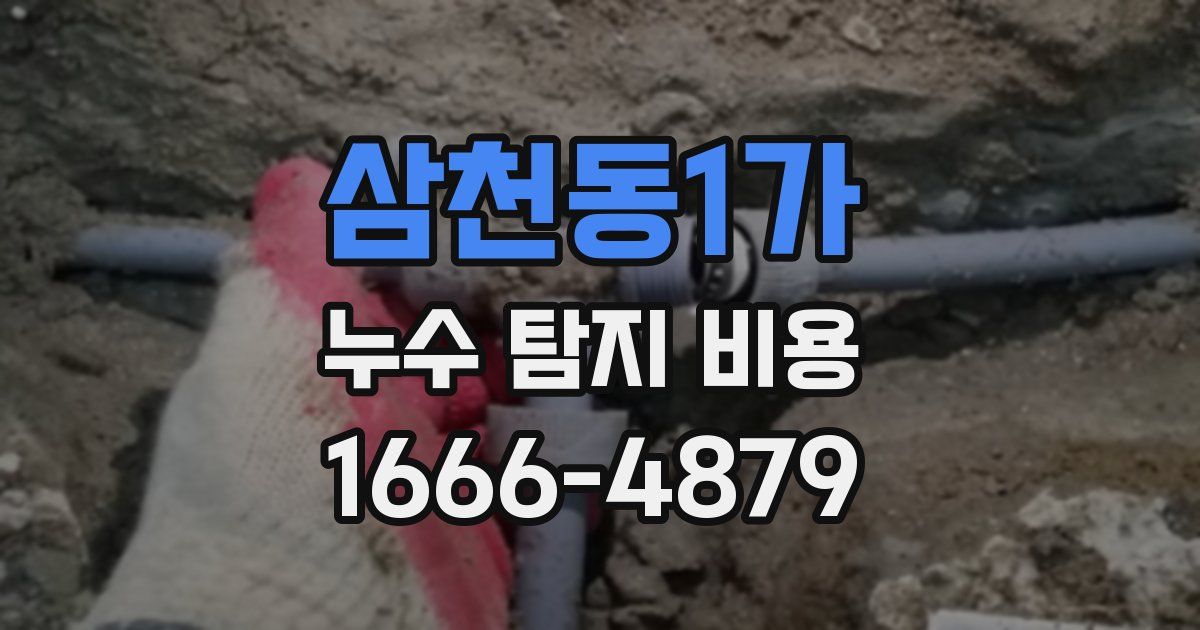 삼천동1가 누수 탐지 비용