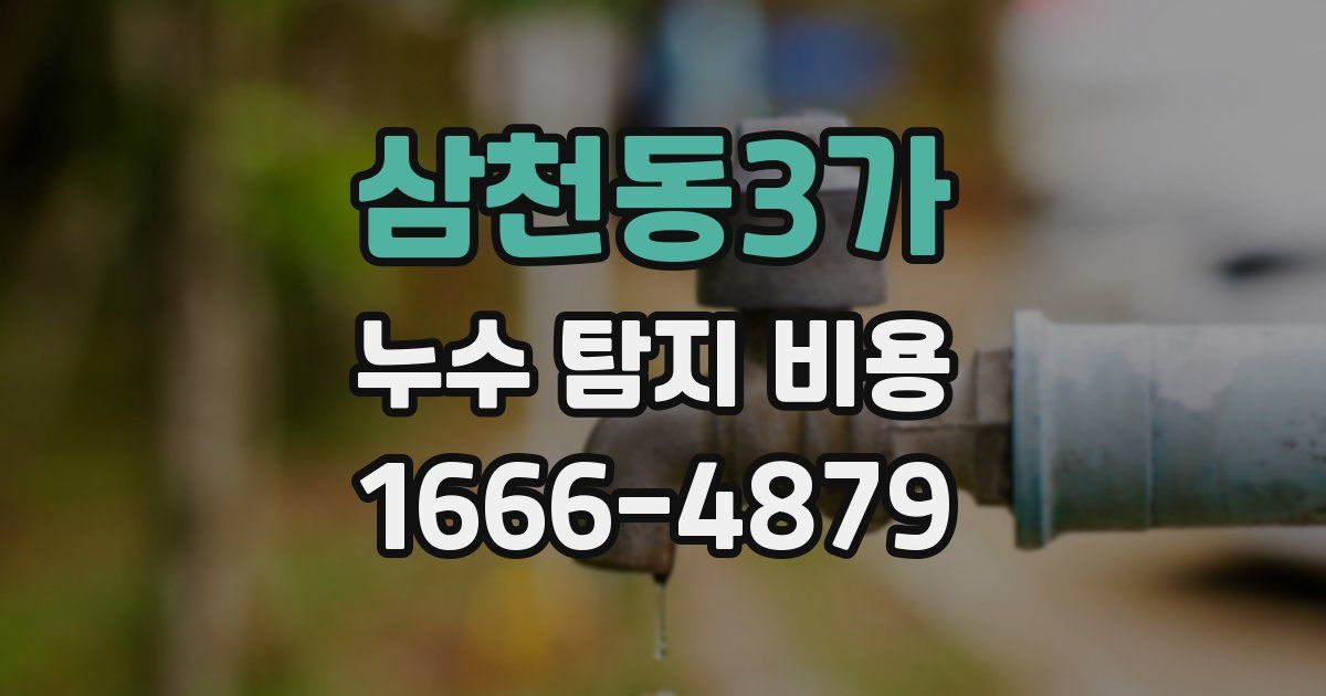 삼천동3가 누수 탐지 비용
