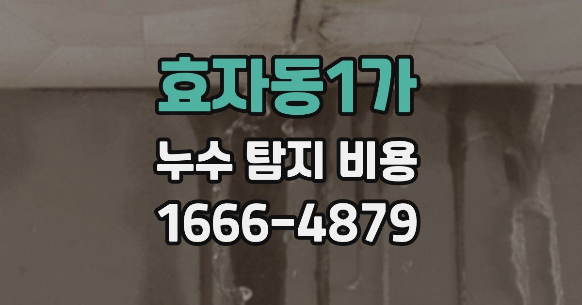 효자동1가 누수 탐지 비용