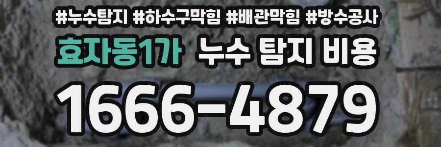 효자동1가 누수 탐지 비용
