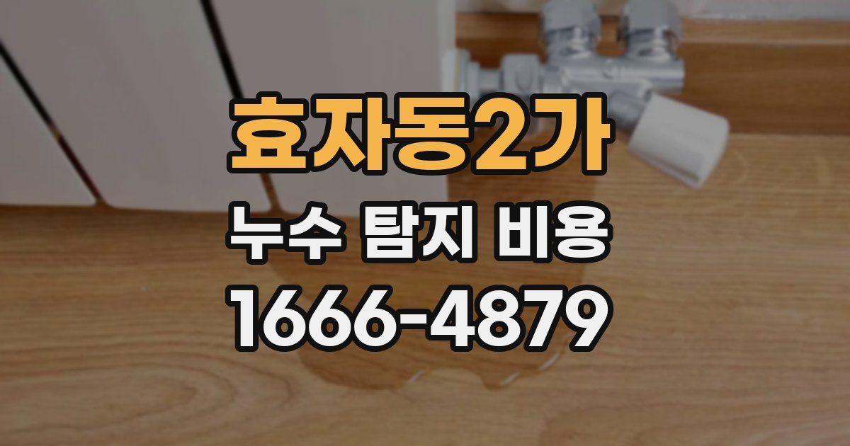 효자동2가 누수 탐지 비용