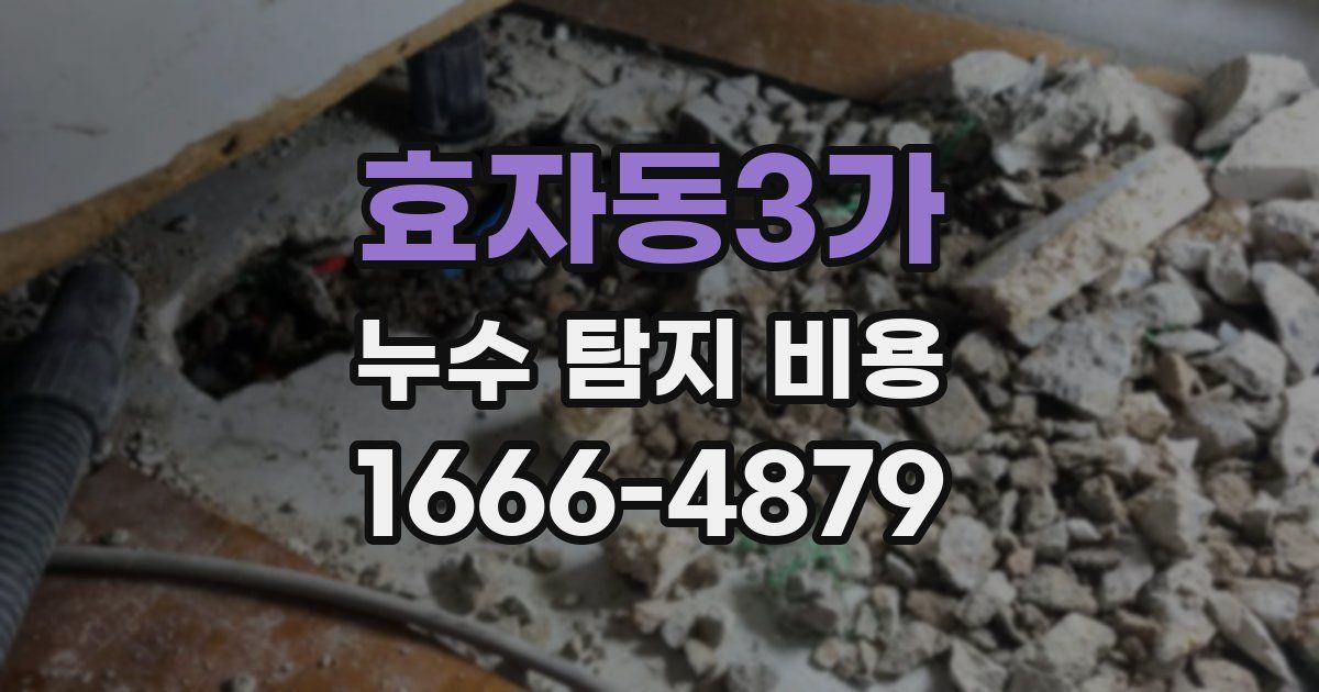 효자동3가 누수 탐지 비용
