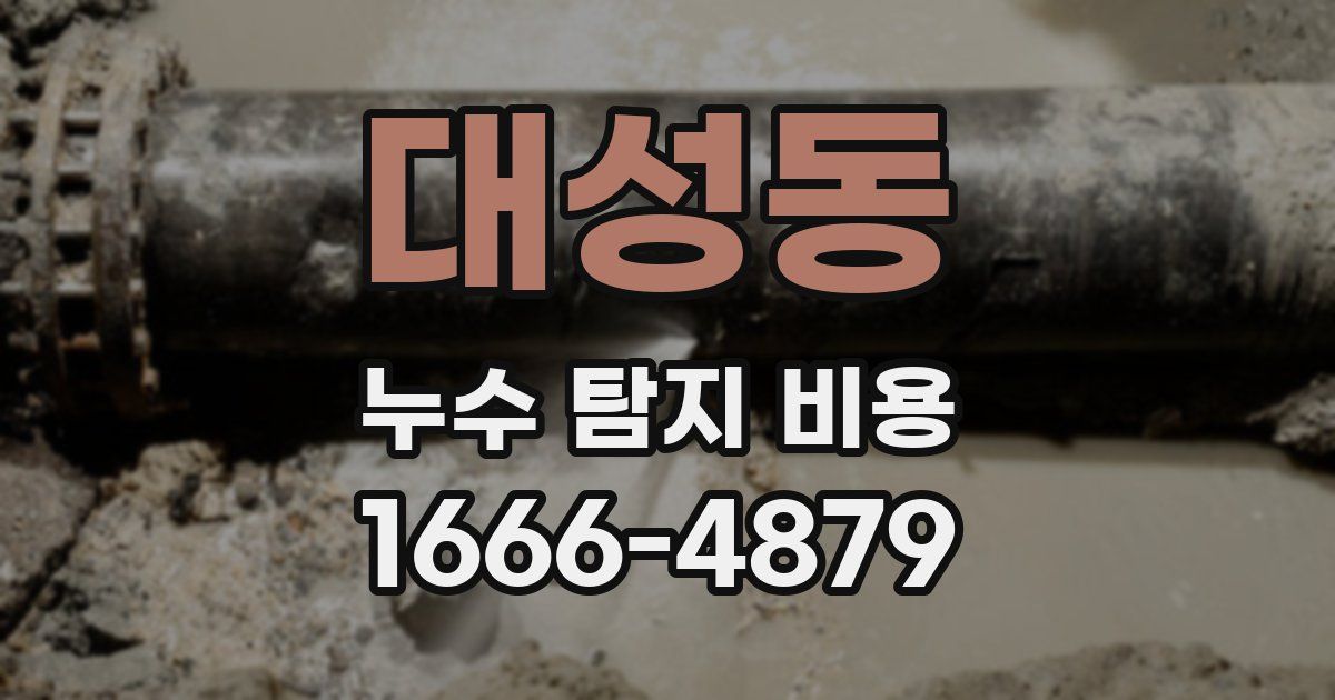 대성동 누수 탐지 비용