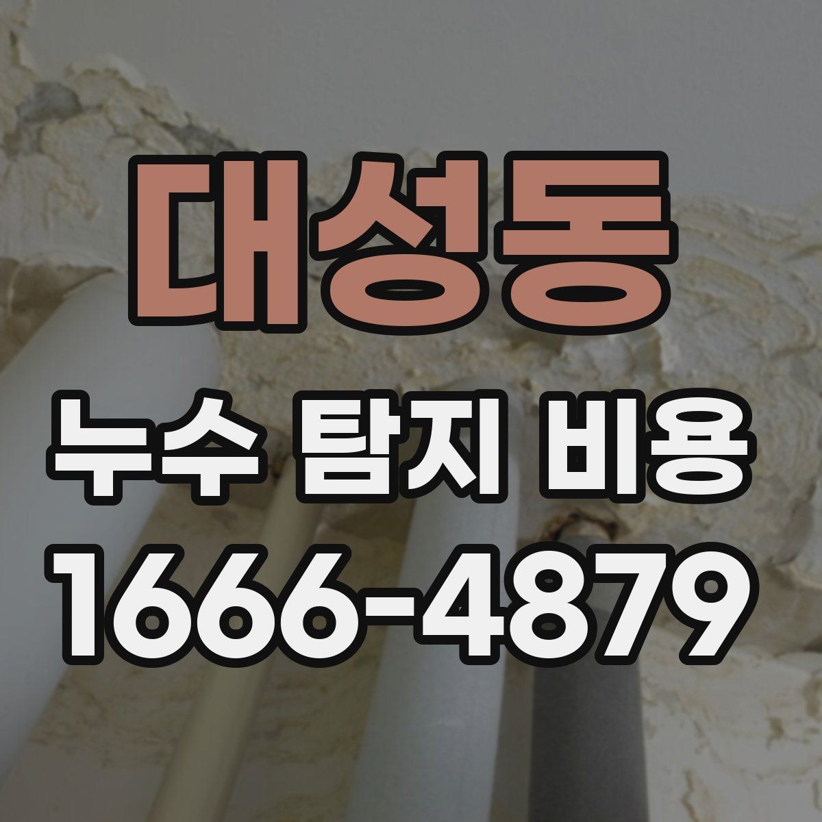 대성동 누수 탐지 비용