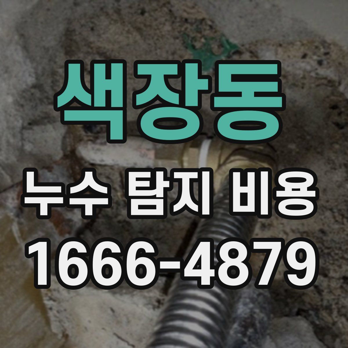 색장동 누수 탐지 비용