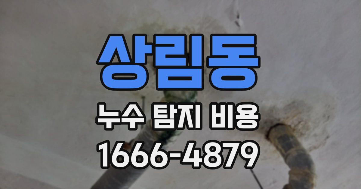 상림동 누수 탐지 비용