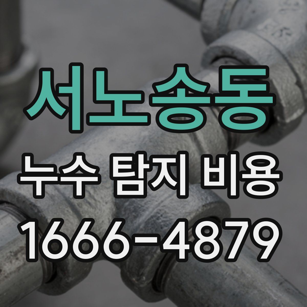 서노송동 누수 탐지 비용